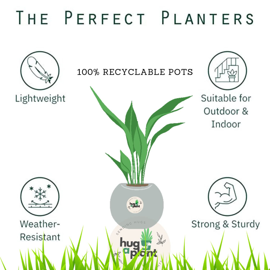 Veer Plast - Green City Plastic Plant Pots Set of 4/6
